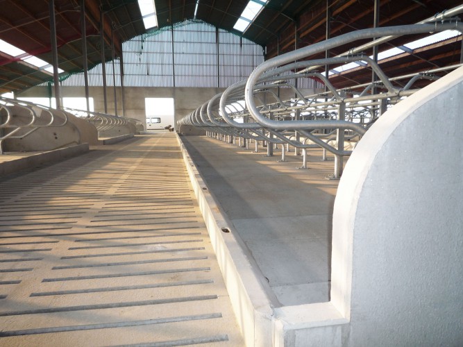 Dam Beton Diepstrooiselbox