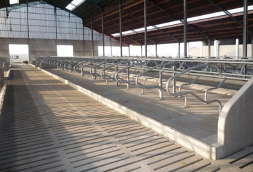Diepstrooiselbox met opgestorte rand